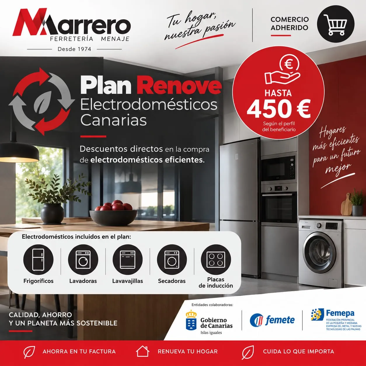 Plan Renove de Electrodomésticos a Canarias